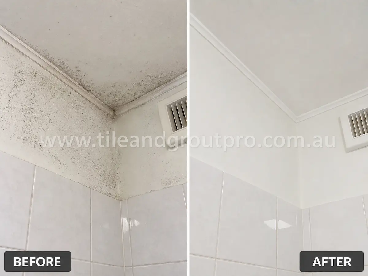 Before and after view of a painted bathroom ceiling corner with visible mould growth near an exhaust vent removed through mould and algae treatment.