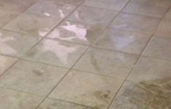 Tile Repair in 