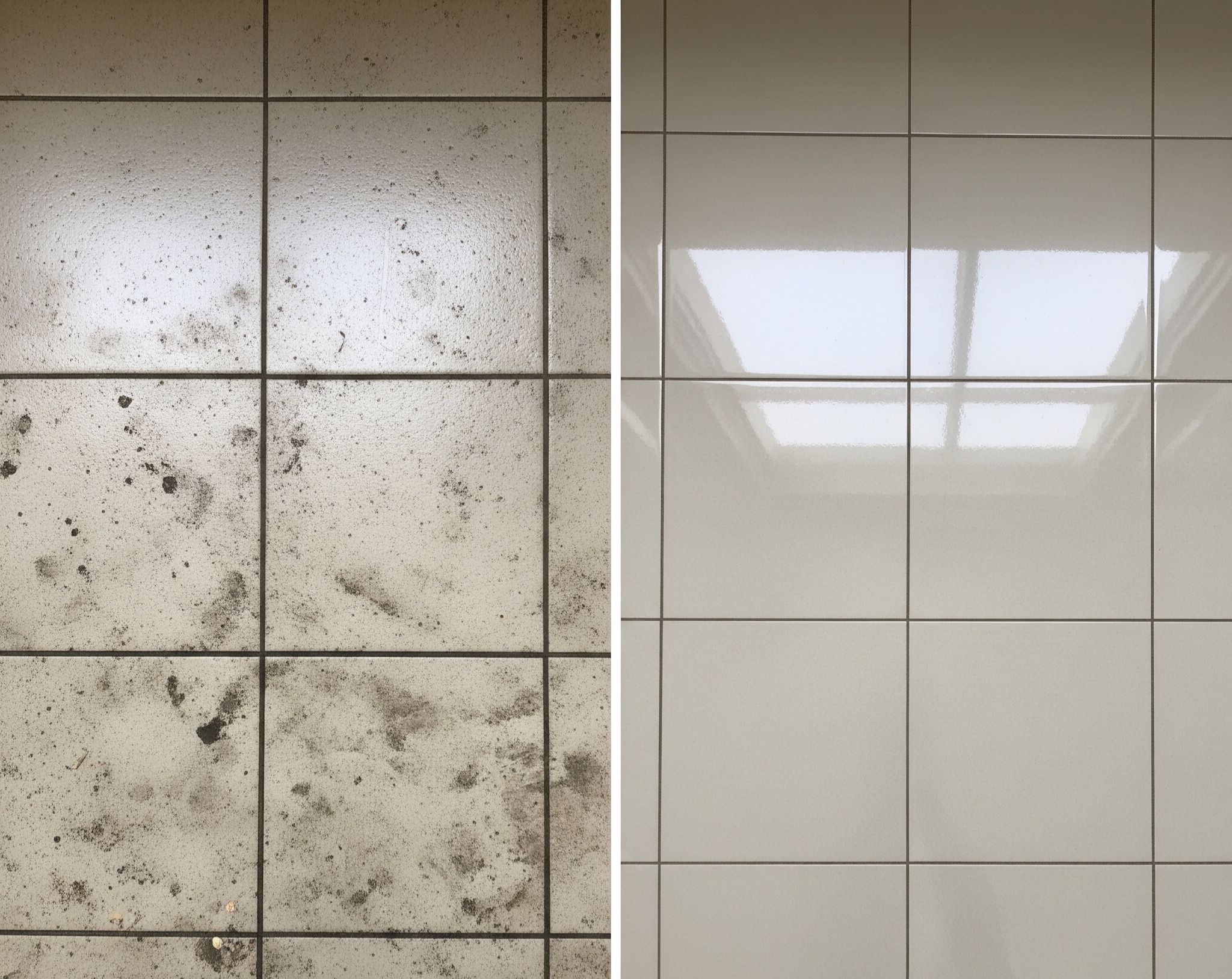 Tile Cleaners